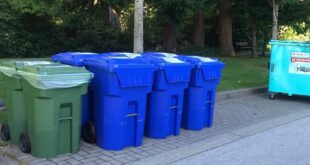 The Business Side: How Garbage Bin Rentals Benefit Calgary’s Commercial Sector